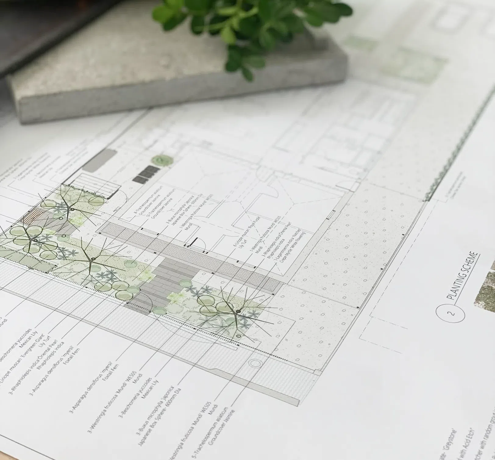 north-shore-landscape-services-plan